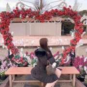 ヒメ日記 2025/06/19 10:28 投稿 横山かなめ 聖リッチ女学園