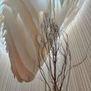 ヒメ日記 2025/06/19 23:18 投稿 横山かなめ 聖リッチ女学園