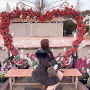 ヒメ日記 2025/06/30 14:30 投稿 横山かなめ 聖リッチ女学園