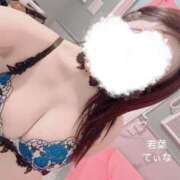 ヒメ日記 2025/02/02 09:05 投稿 てぃな 若葉