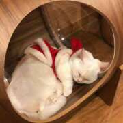 ヒメ日記 2025/02/23 14:43 投稿 てぃな 若葉