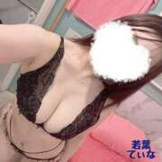 ヒメ日記 2025/06/15 09:14 投稿 てぃな 若葉