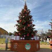 ヒメ日記 2025/12/12 22:00 投稿 はる☆完全業界未経験 愛ドル学園　☆制服着たまま部☆