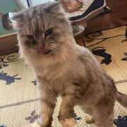 ヒメ日記 2026/01/16 22:00 投稿 はる☆完全業界未経験 愛ドル学園　☆制服着たまま部☆