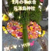 ヒメ日記 2025/02/03 09:17 投稿 まこ しゅうかつ倶楽部