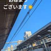 ヒメ日記 2025/02/05 09:32 投稿 まこ しゅうかつ倶楽部