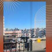 ヒメ日記 2025/02/07 09:07 投稿 まこ しゅうかつ倶楽部