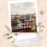 ヒメ日記 2025/02/12 09:52 投稿 まこ しゅうかつ倶楽部