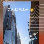 ヒメ日記 2025/02/13 12:15 投稿 まこ しゅうかつ倶楽部
