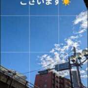 ヒメ日記 2025/02/18 09:20 投稿 まこ しゅうかつ倶楽部