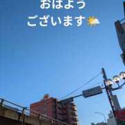 ヒメ日記 2025/02/22 08:48 投稿 まこ しゅうかつ倶楽部