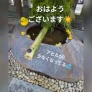 ヒメ日記 2025/02/27 09:22 投稿 まこ しゅうかつ倶楽部