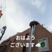 ヒメ日記 2025/02/28 08:49 投稿 まこ しゅうかつ倶楽部