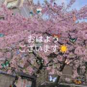 ヒメ日記 2025/03/14 08:54 投稿 まこ しゅうかつ倶楽部