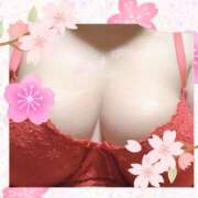 ヒメ日記 2025/03/27 21:46 投稿 まこ しゅうかつ倶楽部