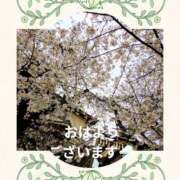 ヒメ日記 2025/03/29 08:58 投稿 まこ しゅうかつ倶楽部