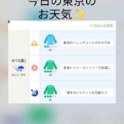 ヒメ日記 2025/04/11 07:59 投稿 まこ しゅうかつ倶楽部