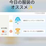 ヒメ日記 2025/04/17 10:40 投稿 まこ しゅうかつ倶楽部