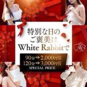 柏木まりな お得にあそぼぉ❤️ White Rabbit 横浜