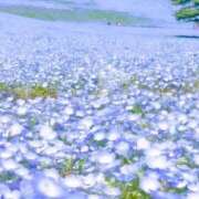 ヒメ日記 2025/04/28 19:54 投稿 らん たっぷりHoneyoilSPA福岡中洲店