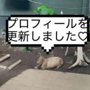 ヒメ日記 2026/10/05 17:35 投稿 綾瀬 ANECOTE