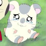 ヒメ日記 2026/04/11 20:00 投稿 しほ ときめき女学院