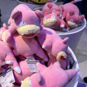 ヒメ日記 2025/02/27 15:10 投稿 たまき バイオレンス