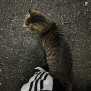 ヒメ日記 2025/06/08 13:15 投稿 たまき バイオレンス