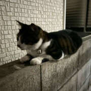 ヒメ日記 2025/09/17 16:35 投稿 たまき バイオレンス