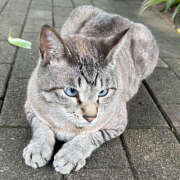 ヒメ日記 2025/09/26 18:15 投稿 たまき バイオレンス