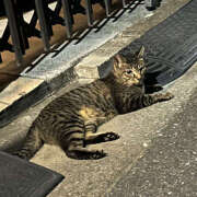 ヒメ日記 2025/09/30 15:55 投稿 たまき バイオレンス