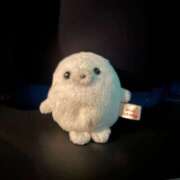 ヒメ日記 2026/03/24 16:25 投稿 たまき バイオレンス