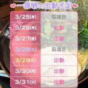 ヒメ日記 2026/03/25 13:45 投稿 たまき バイオレンス