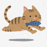 ヒメ日記 2024/12/29 16:08 投稿 奈乃 女々艶 厚木店