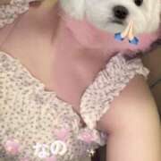 ヒメ日記 2025/11/20 17:48 投稿 奈乃 女々艶 厚木店