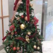 ヒメ日記 2025/12/26 00:53 投稿 ひな 熟女の風俗最終章 新潟店