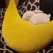 ヒメ日記 2026/02/12 23:53 投稿 ひな 熟女の風俗最終章 新潟店