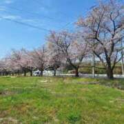 ヒメ日記 2026/04/08 20:23 投稿 ひな 熟女の風俗最終章 新潟店