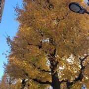 ヒメ日記 2024/12/15 18:44 投稿 上平-うえひら MSC 妄想紳士倶楽部 鶯谷店