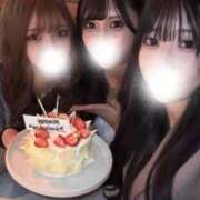 ヒメ日記 2026/04/14 14:42 投稿 まる◇モデル系ハイセンス美女◇ H-ash（アッシュ）