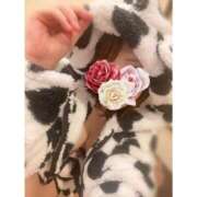 ヒメ日記 2024/12/20 14:58 投稿 みこ MAHARAJA(マハラジャ)千葉