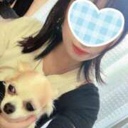 ヒメ日記 2024/12/22 14:10 投稿 つぐみ あとりえ(ATELIER)