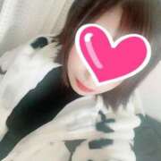 ヒメ日記 2024/12/22 16:16 投稿 つぐみ あとりえ(ATELIER)