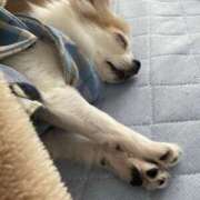 ヒメ日記 2025/05/16 14:30 投稿 つぐみ あとりえ(ATELIER)