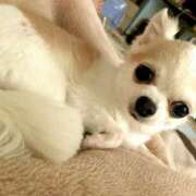 ヒメ日記 2025/07/28 14:54 投稿 つぐみ あとりえ(ATELIER)