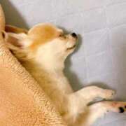 ヒメ日記 2025/09/15 21:45 投稿 つぐみ あとりえ(ATELIER)