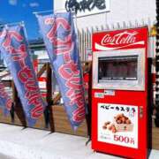 ヒメ日記 2025/10/12 12:39 投稿 つぐみ あとりえ(ATELIER)