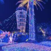 ヒメ日記 2025/12/10 17:01 投稿 つぐみ あとりえ(ATELIER)