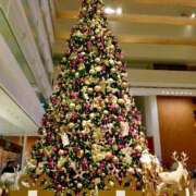 ヒメ日記 2024/12/24 22:46 投稿 栗山 あずさ 神戸RED DRAGON