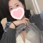 ヒメ日記 2025/03/02 10:08 投稿 せいか 五反田人妻ヒットパレード（シンデレラグループ）